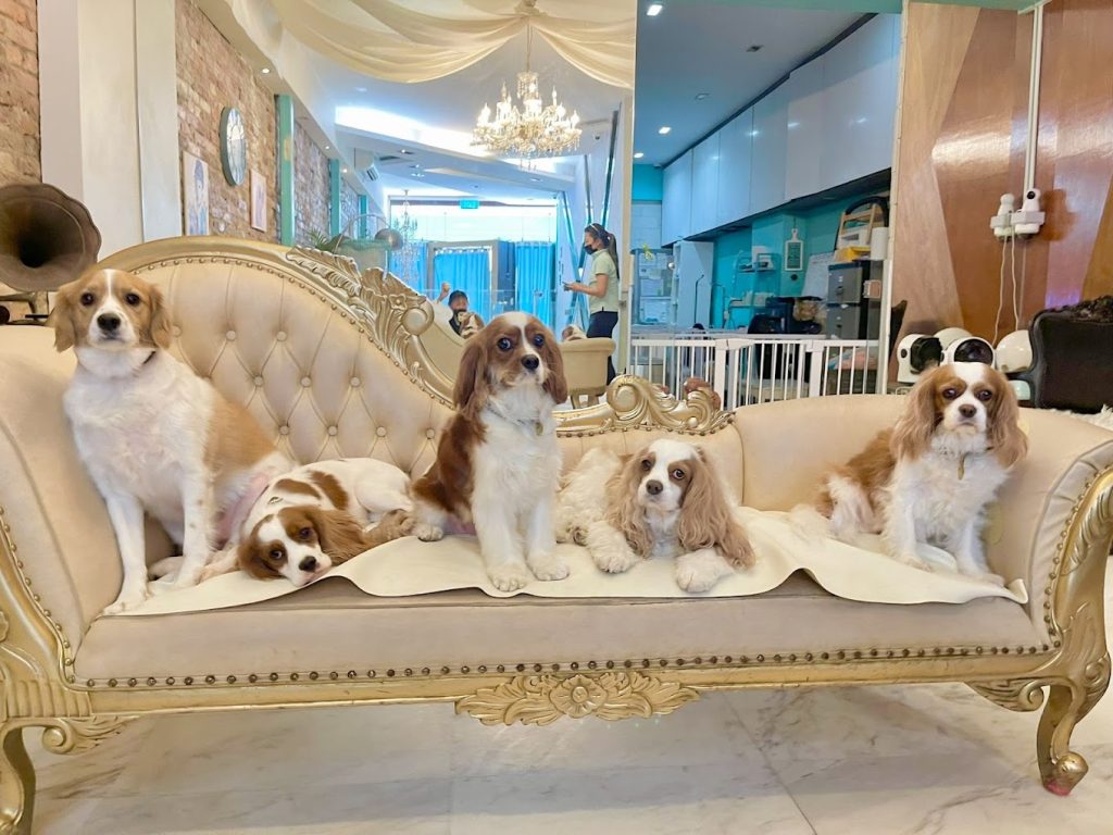 1A80A7C3-4327-499A-9954-EF7392E02BE2