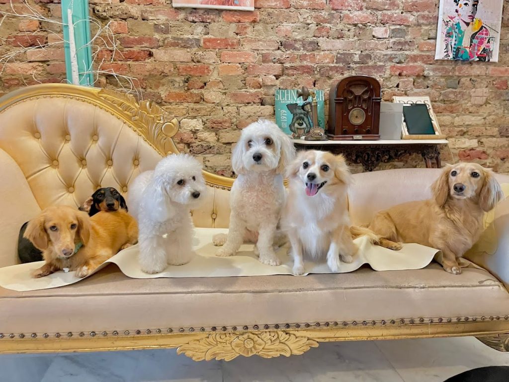 392227D6-F539-4C2A-8B92-38CFB2DA475A