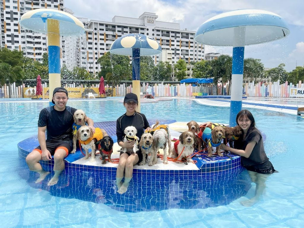 {"ARInfo":{"IsUseAR":false},"Version":"1.0.0","MakeupInfo":{"IsUseMakeup":false},"FaceliftInfo":{"IsChangeEyeLift":false,"IsChangeFacelift":false,"IsChangePostureLift":false,"IsChangeNose":false,"IsChangeFaceChin":false,"IsChangeMouth":false,"IsChangeThinFace":true},"BeautyInfo":{"SwitchMedicatedAcne":false,"IsAIBeauty":false,"IsBrightEyes":false,"IsSharpen":false,"IsOldBeauty":false,"IsReduceBlackEyes":false},"HandlerInfo":{"AppName":2},"FilterInfo":{"IsUseFilter":false}}