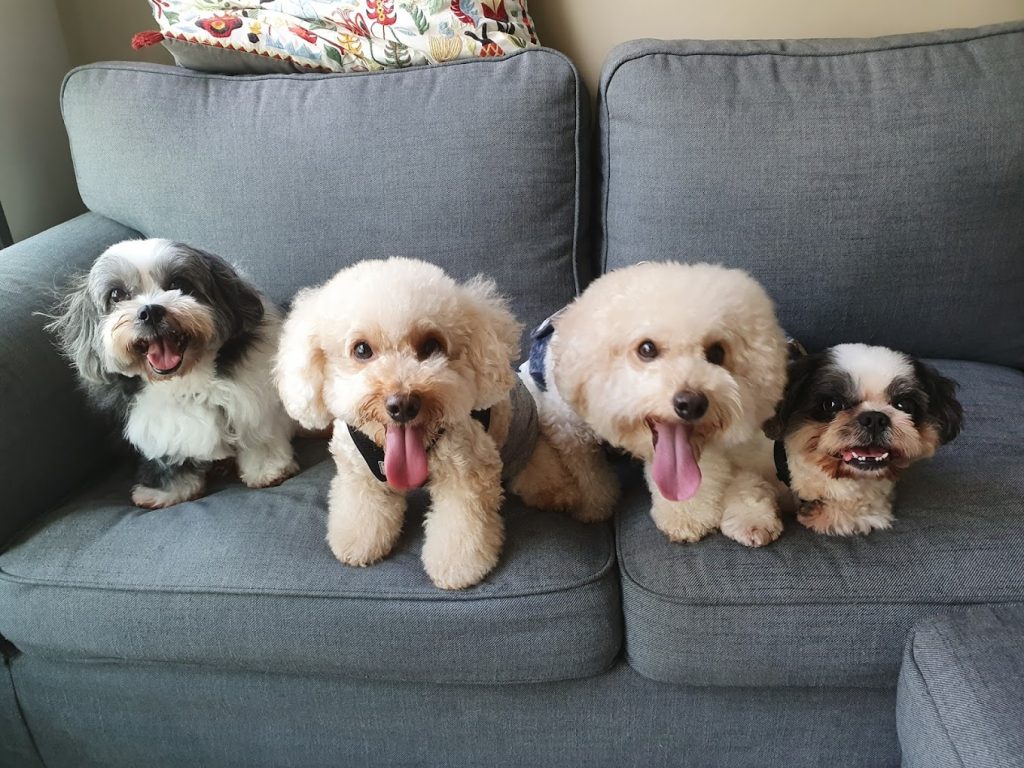 91791523_659115688243020_7655212827782676480_o