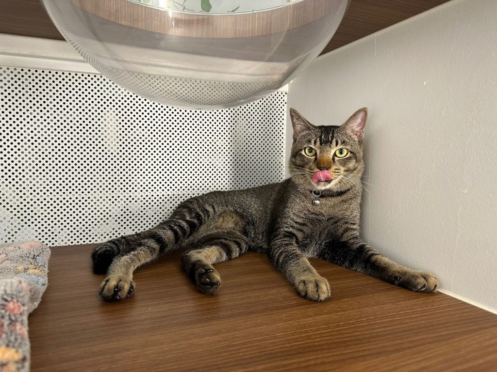 9B060CBC-7042-469B-8783-1E29978315BB