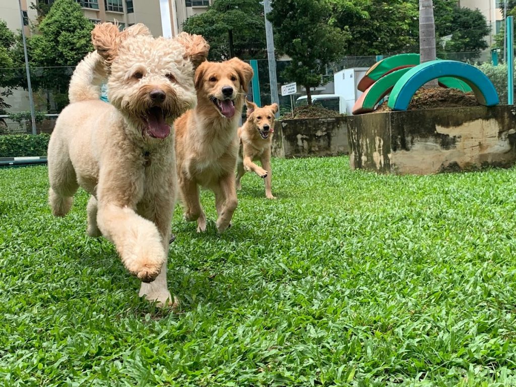 9DDAE882-A3F0-49A9-89B3-98CE9D678C4E_L0_001