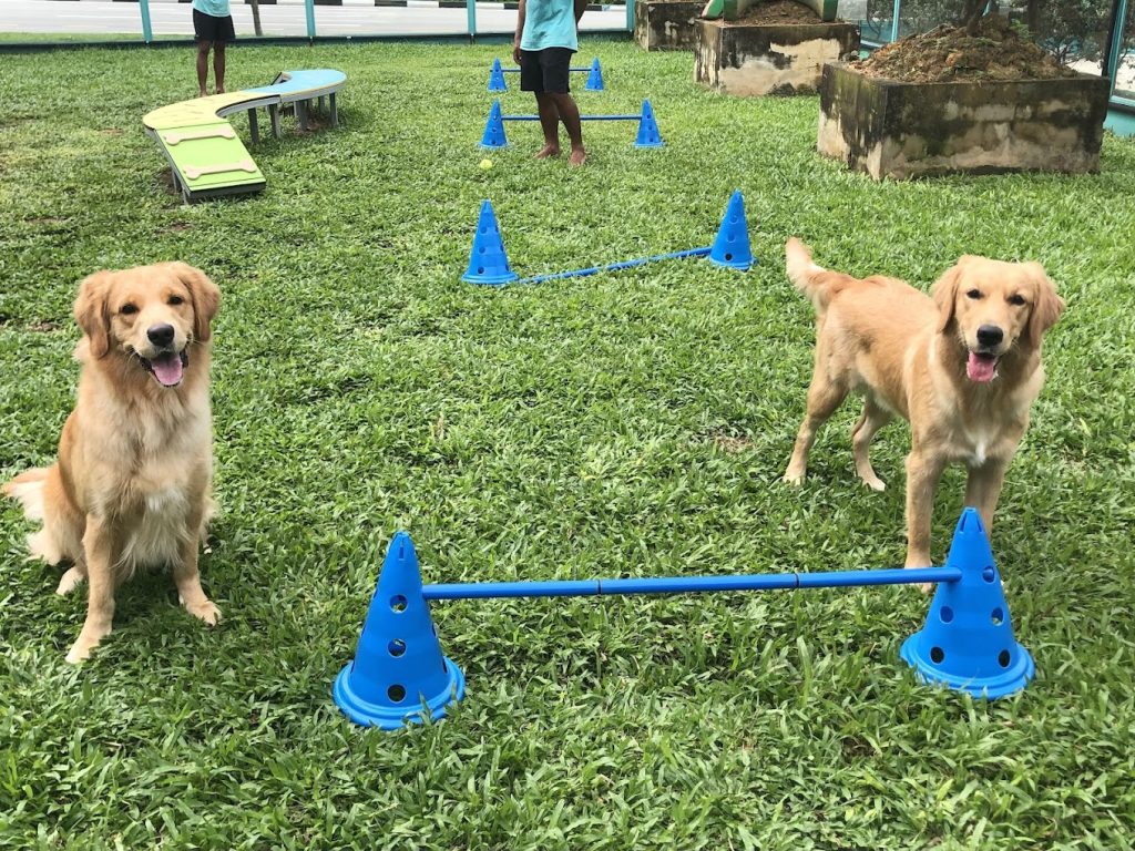 BE5DAC30-C54E-4957-BA16-8F46AB16D2AF_L0_001