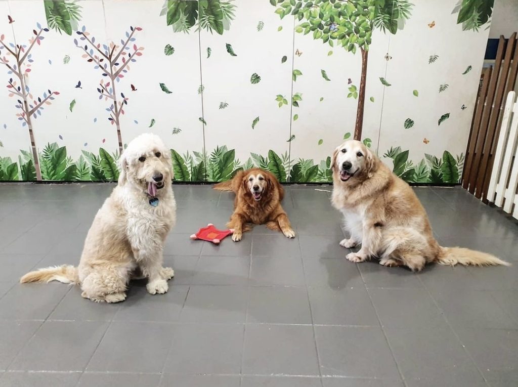 Screenshot_20210513-010931_Instagram