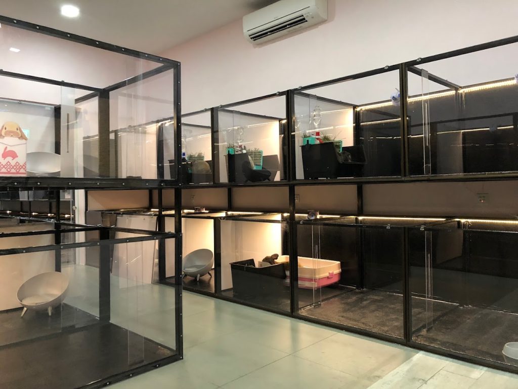 The Fluffy Hut_Rabbit Boarding