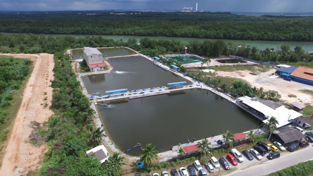 WhatsApp Image 2017-01-01 at 4.03.33 PM