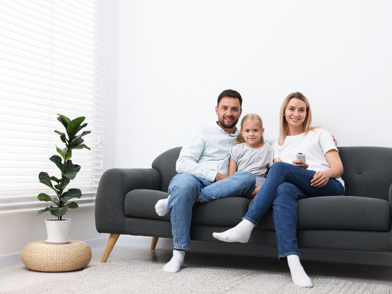 Domestic cleaning